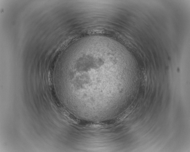 X0000061740224200512302220