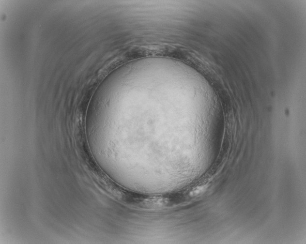 X0000061740225200512302220