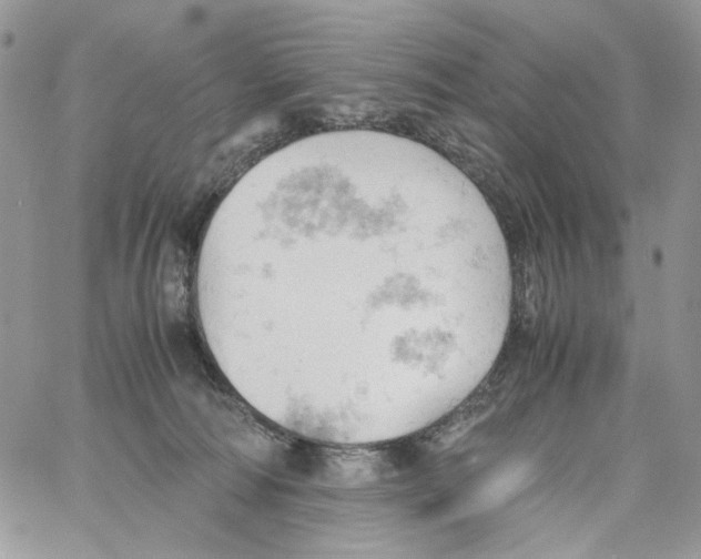 X0000061740226200512302220