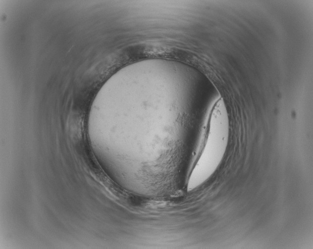 X0000061740227200512302220