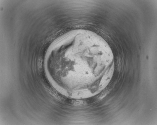 X0000061740230200512302220