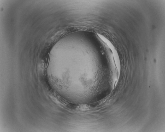 X0000061740231200512302220