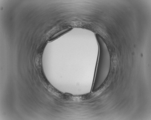 X0000061740233200512302220