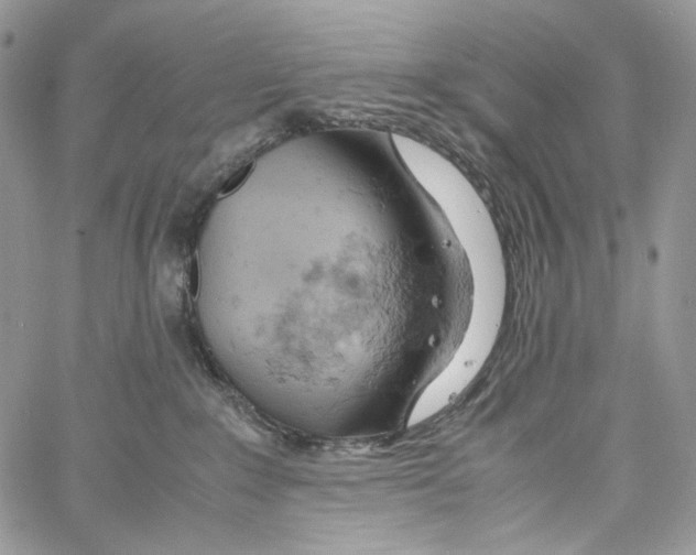 X0000061740235200512302220