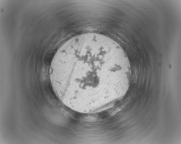 X0000061740236200512302220