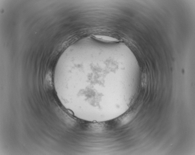 X0000061740238200512302220