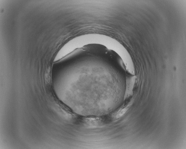 X0000061740239200512302220