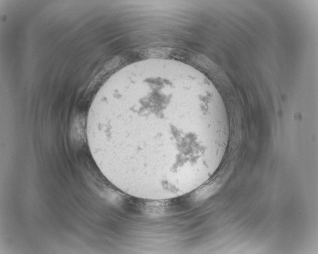 X0000061740240200512302220