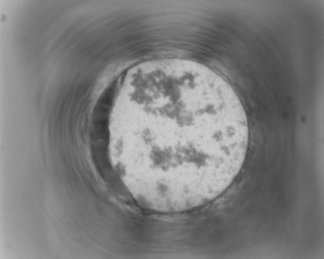 X0000061740241200512302219