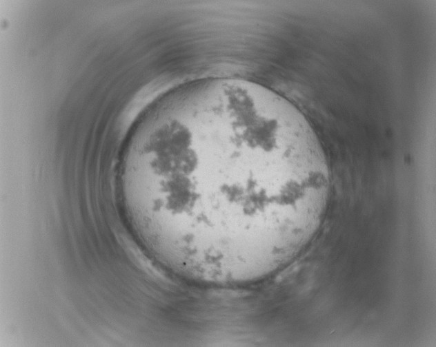 X0000061740242200512302219