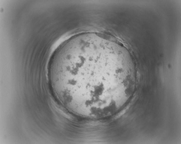 X0000061740246200512302219