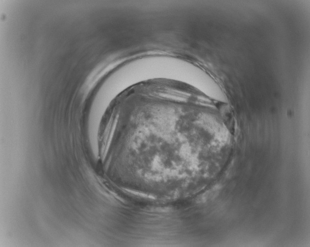 X0000061740247200512302219