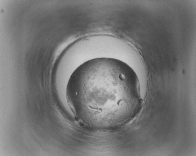 X0000061740248200512302219