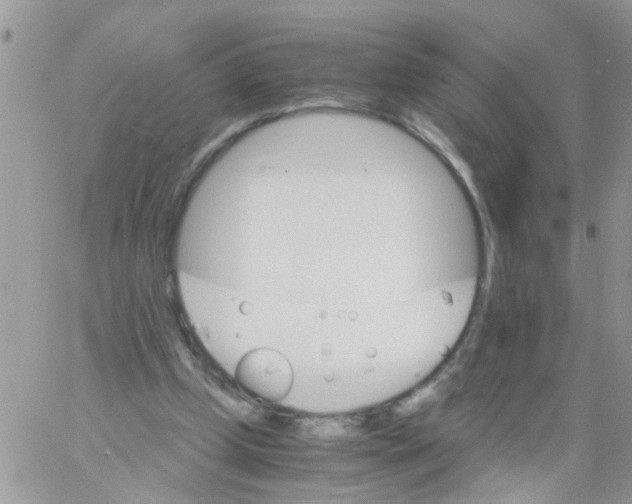 X0000061740249200512302219