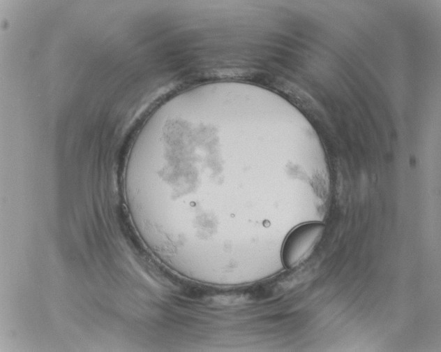 X0000061740251200512302219