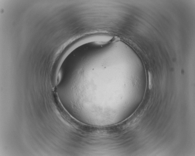 X0000061740252200512302219