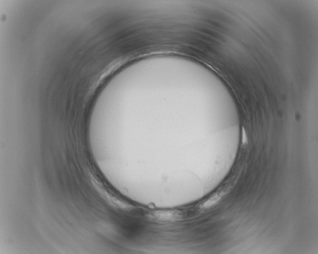 X0000061740253200512302219