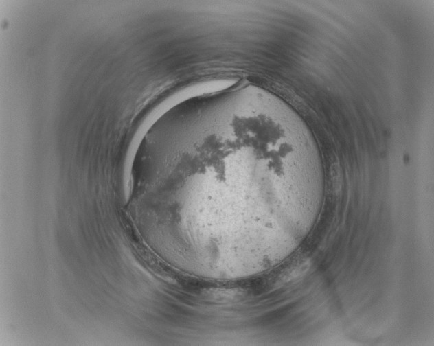 X0000061740255200512302219