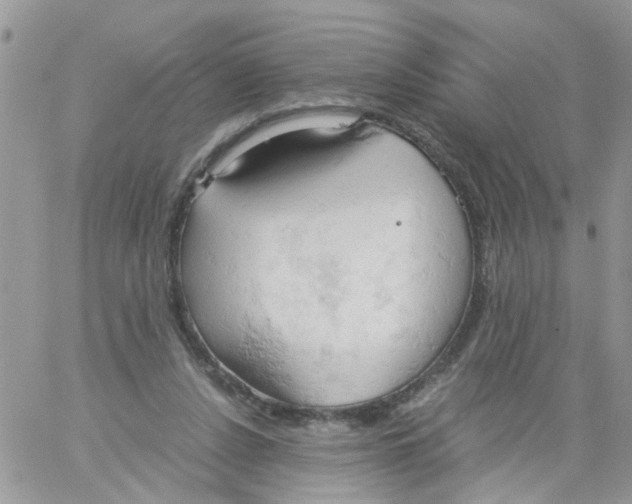 X0000061740256200512302219