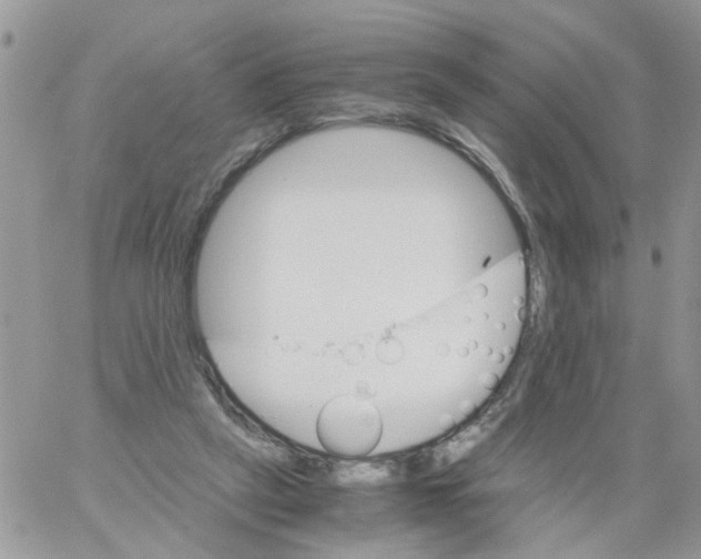 X0000061740257200512302219