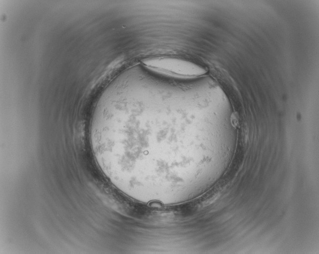 X0000061740260200512302219