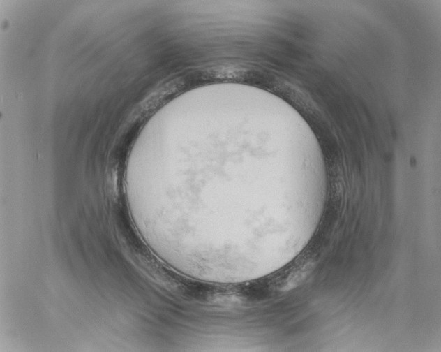 X0000061740262200512302219