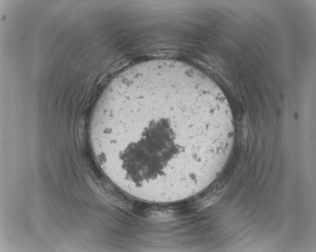 X0000061740263200512302219