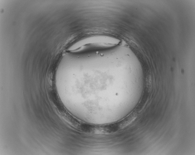 X0000061740264200512302219