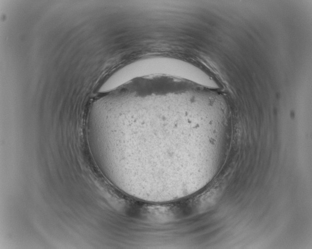 X0000061740265200512302219