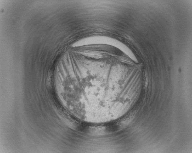 X0000061740266200512302219