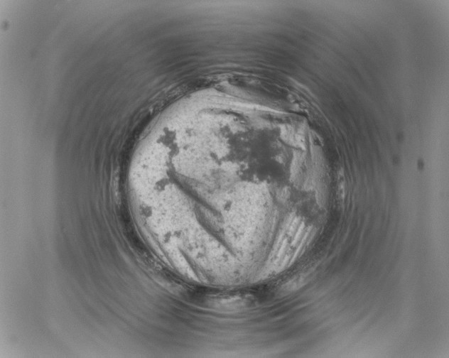 X0000061740267200512302219