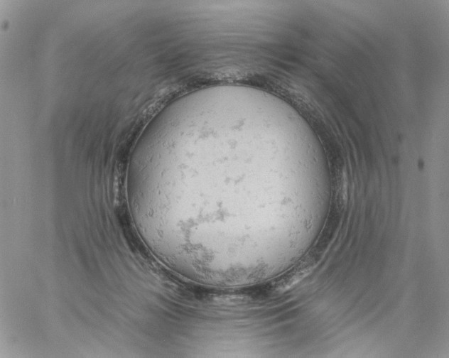 X0000061740268200512302219