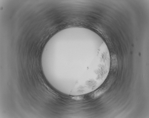 X0000061740269200512302219