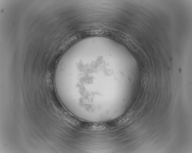 X0000061740270200512302219