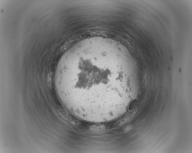 X0000061740271200512302219