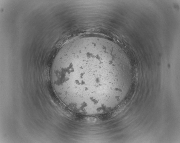 X0000061740272200512302219