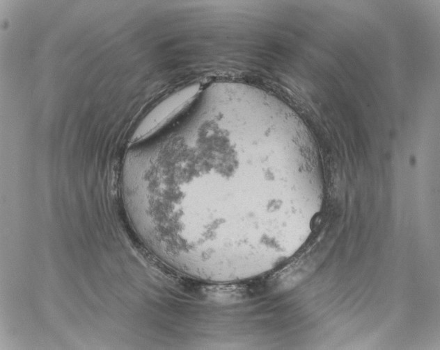 X0000061740273200512302219