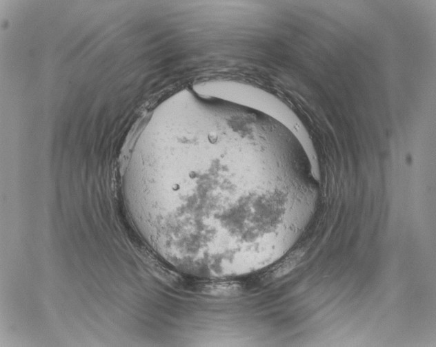 X0000061740274200512302219