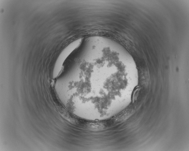 X0000061740275200512302219