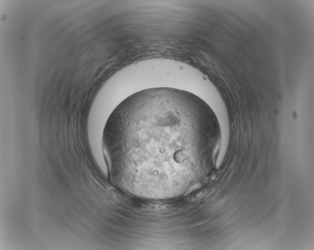 X0000061740276200512302219