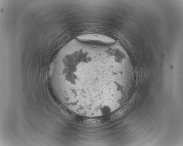 X0000061740277200512302219