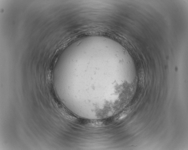 X0000061740278200512302219