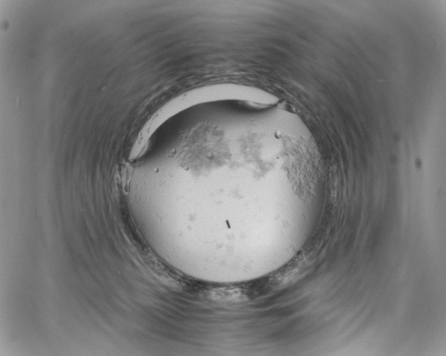 X0000061740279200512302219