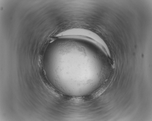 X0000061740280200512302219