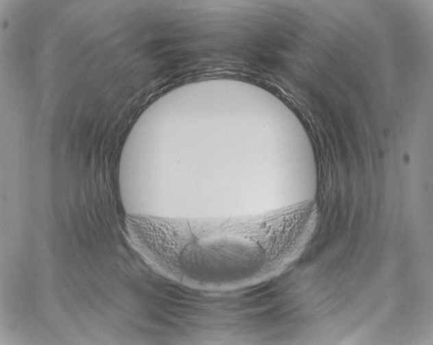 X0000061740281200512302219