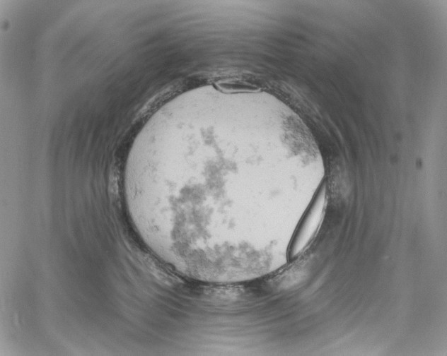 X0000061740282200512302219