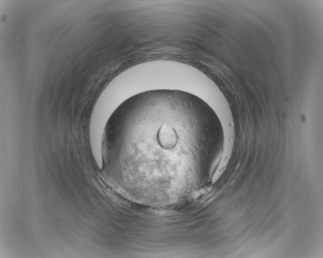 X0000061740284200512302219