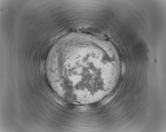 X0000061740286200512302219