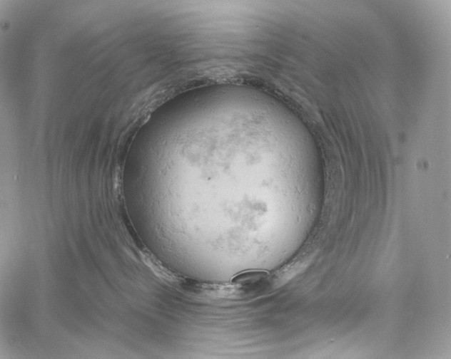 X0000061740288200512302220