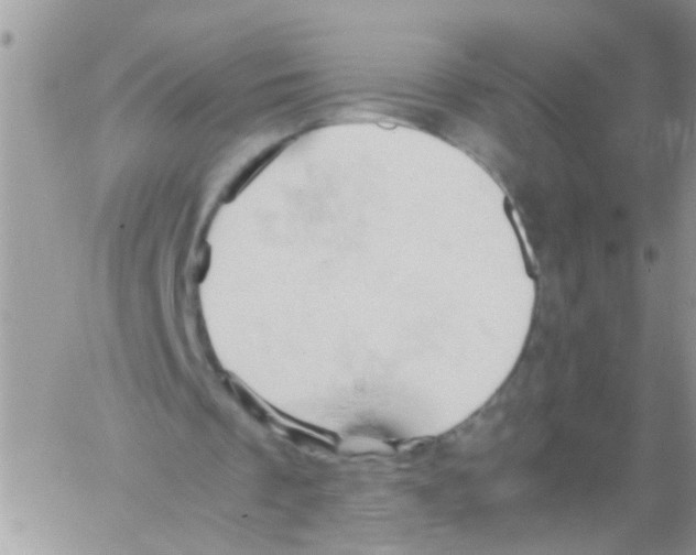 X0000061740289200512302219